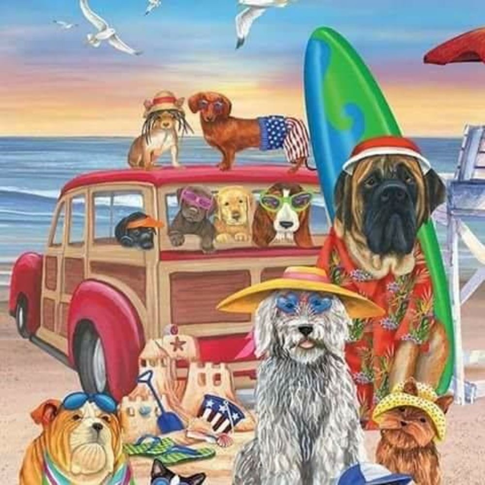 Meet your Posher, Patty